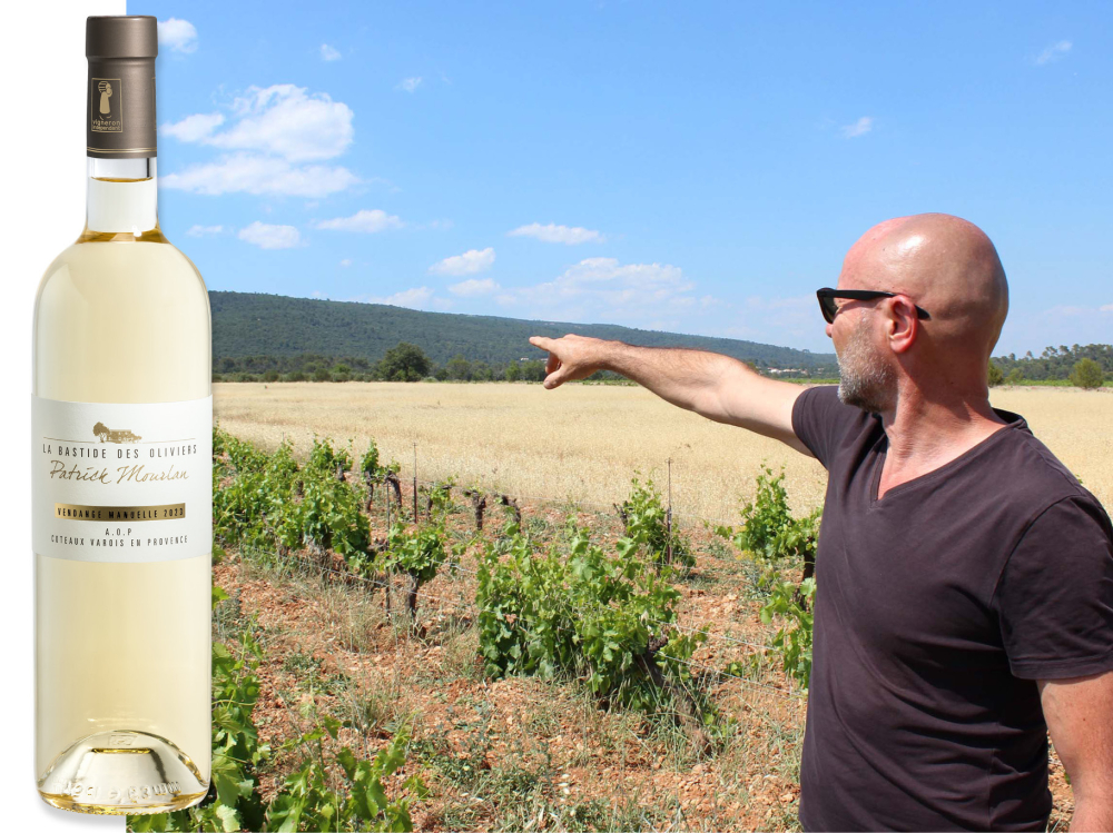 Domaine Bastide des Oliviers