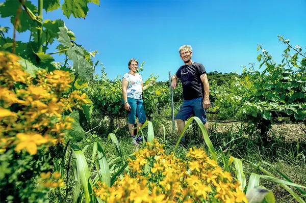Domaine des Fouques