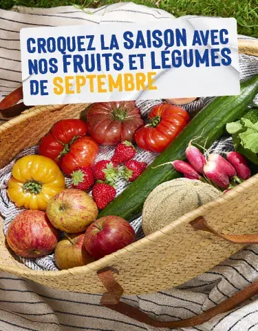 Découvrez notre calendrier de saisonnalité de Septembre 2026 ! Découvrez notre calendrier de saisonnalité de Septembre 2026 !
